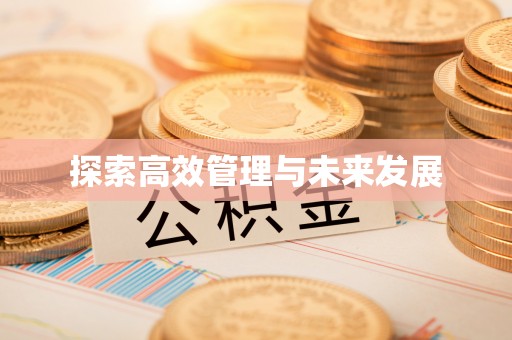 张家界探索高效管理与未来发展