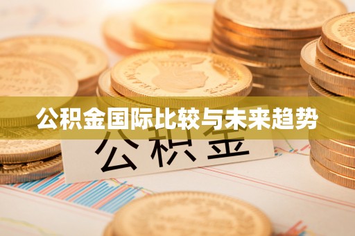张家界公积金国际比较与未来趋势