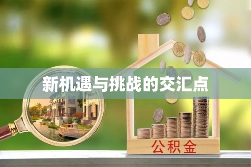 张家界新机遇与挑战的交汇点
