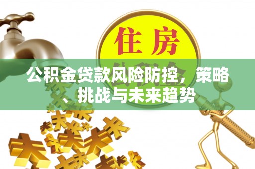 张家界公积金贷款风险防控，策略、挑战与未来趋势