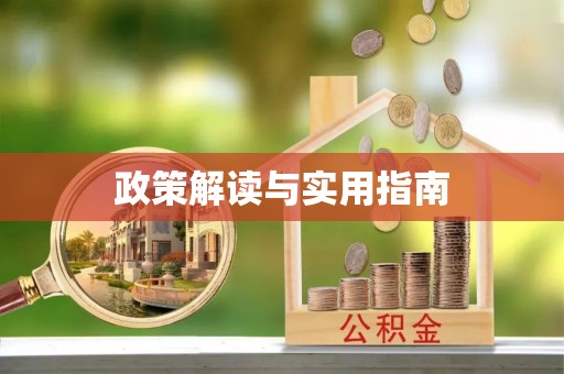 张家界政策解读与实用指南