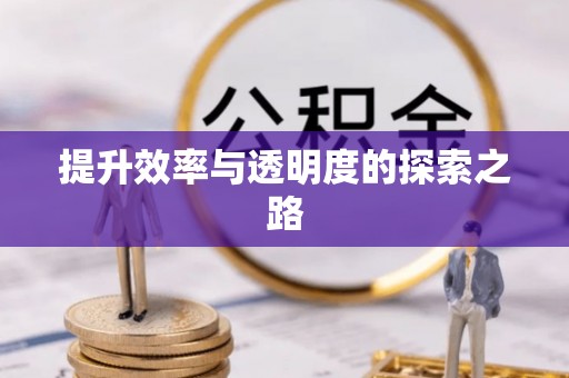 张家界提升效率与透明度的探索之路