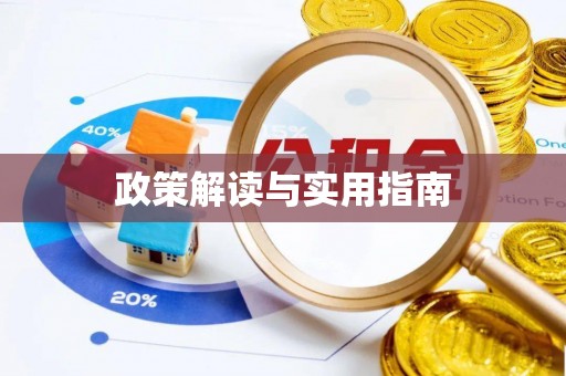 张家界政策解读与实用指南