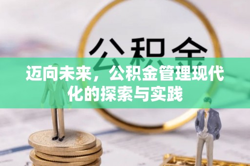 张家界迈向未来，公积金管理现代化的探索与实践