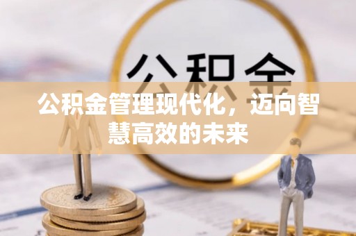 张家界公积金管理现代化，迈向智慧高效的未来