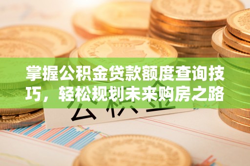 张家界掌握公积金贷款额度查询技巧，轻松规划未来购房之路