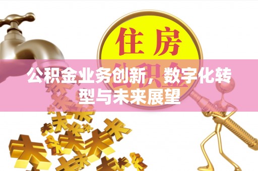 张家界公积金业务创新，数字化转型与未来展望