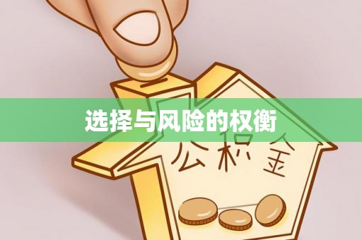 张家界选择与风险的权衡