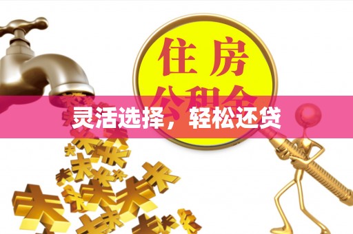 张家界灵活选择，轻松还贷