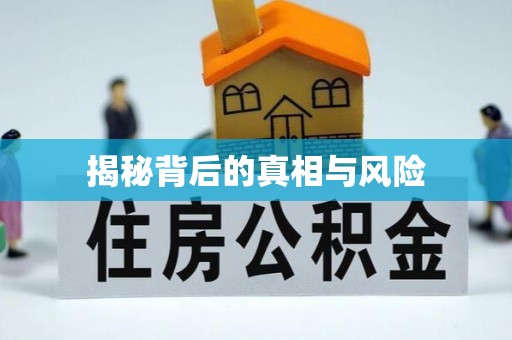 张家界揭秘背后的真相与风险