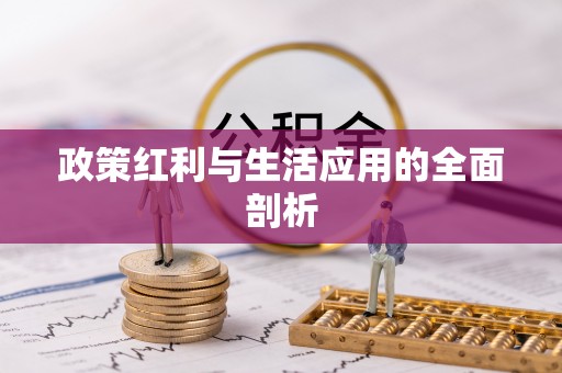 张家界政策红利与生活应用的全面剖析