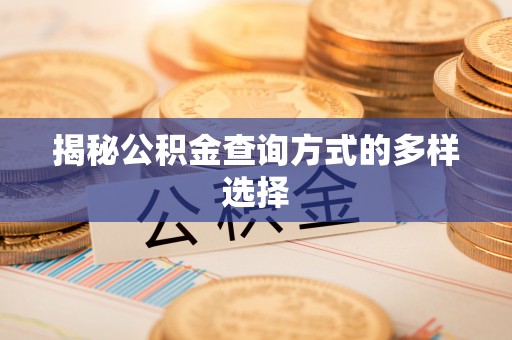 张家界揭秘公积金查询方式的多样选择
