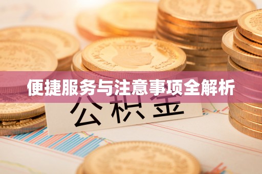 张家界便捷服务与注意事项全解析