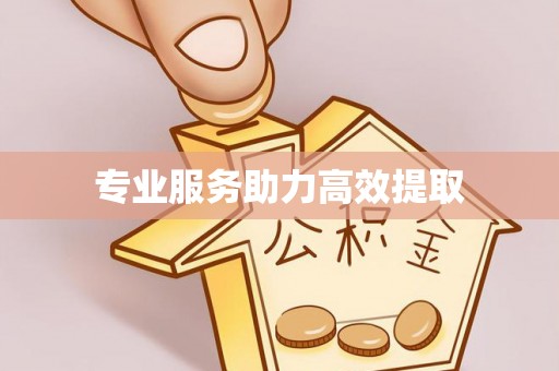张家界专业服务助力高效提取